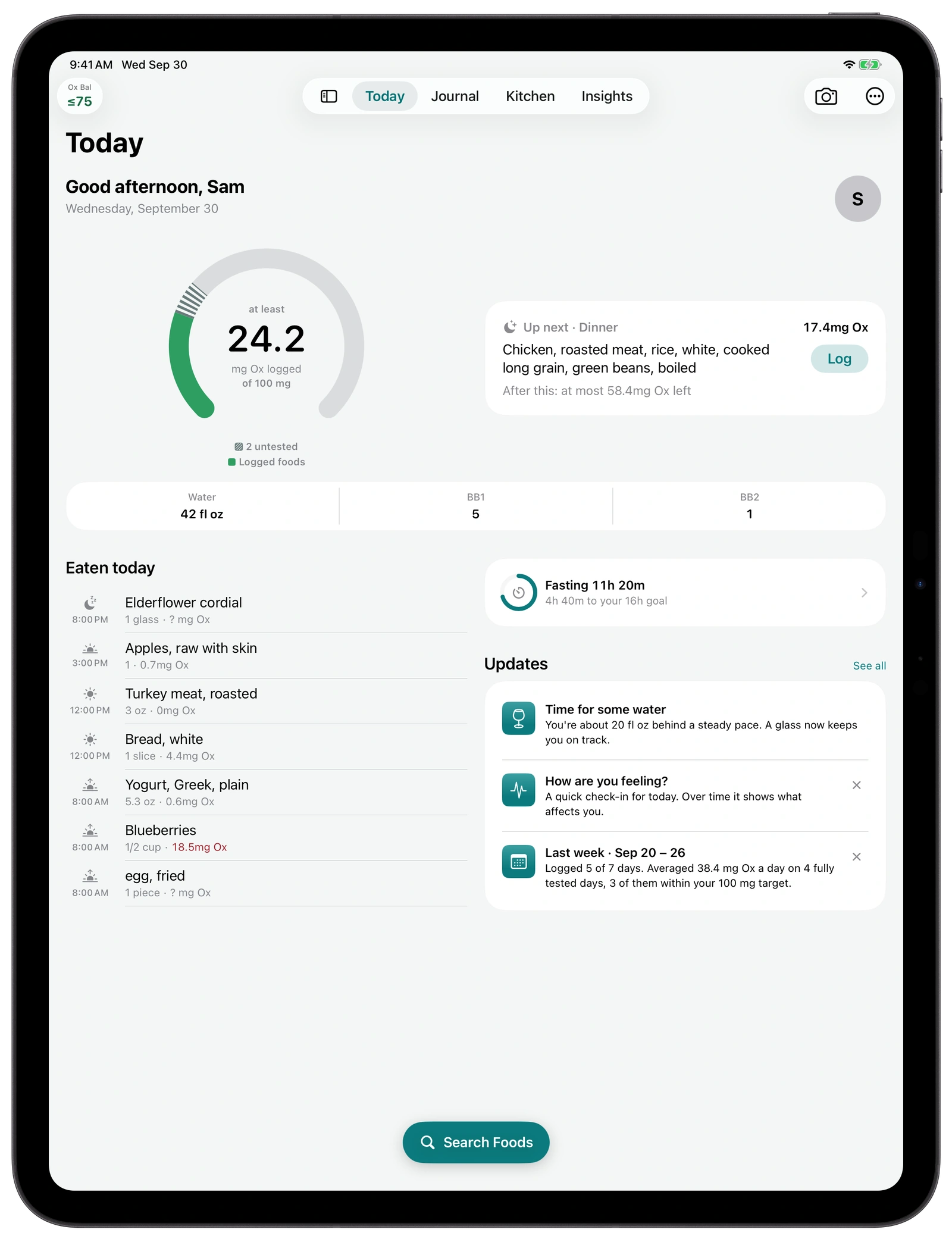 Today on iPad: the oxalate gauge at least 24.2 of 100 milligrams, Up next dinner at 17.4 milligrams with a Log button, a running fast, Updates, and the foods eaten today.