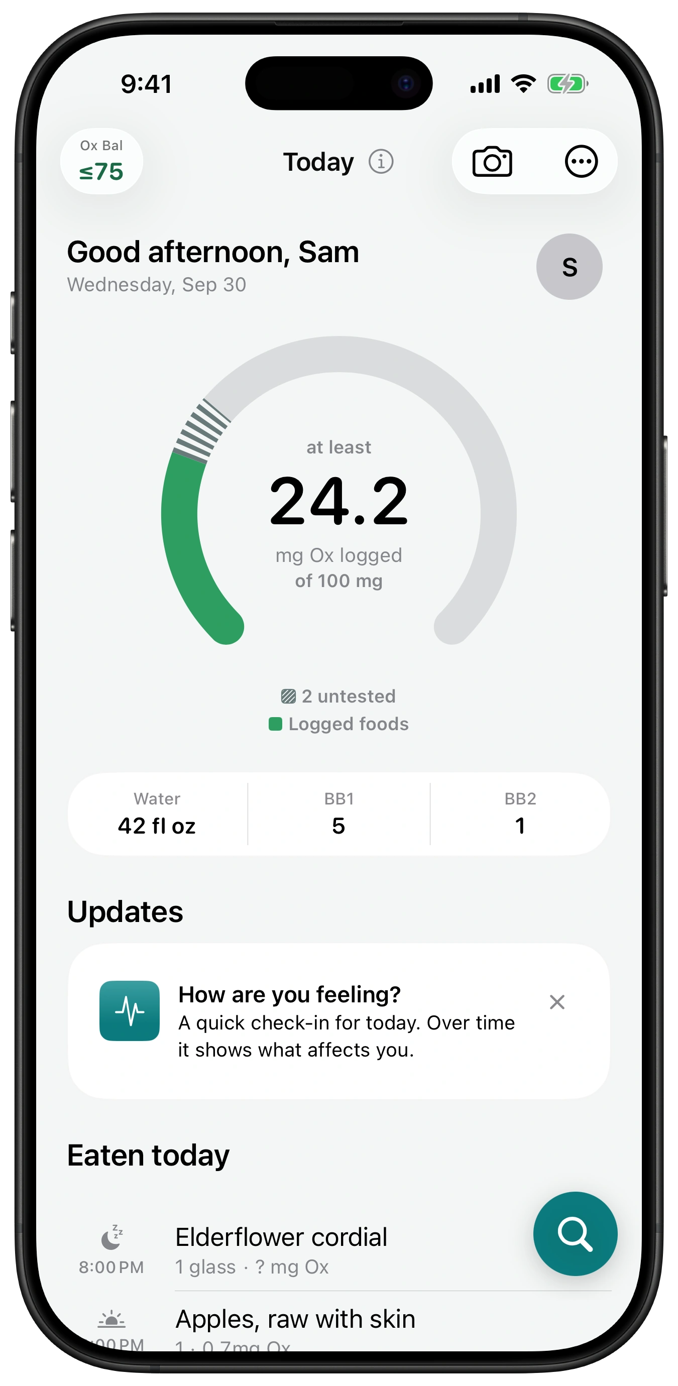The Today page: a gauge reading at least 24.2 milligrams of oxalate logged of a 100 milligram target, with two foods untested, water at 42 fluid ounces, and the foods eaten so far.
